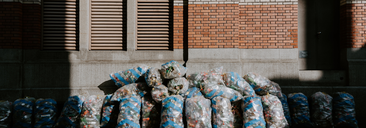 Improve Your Impact on the Environment at Home
