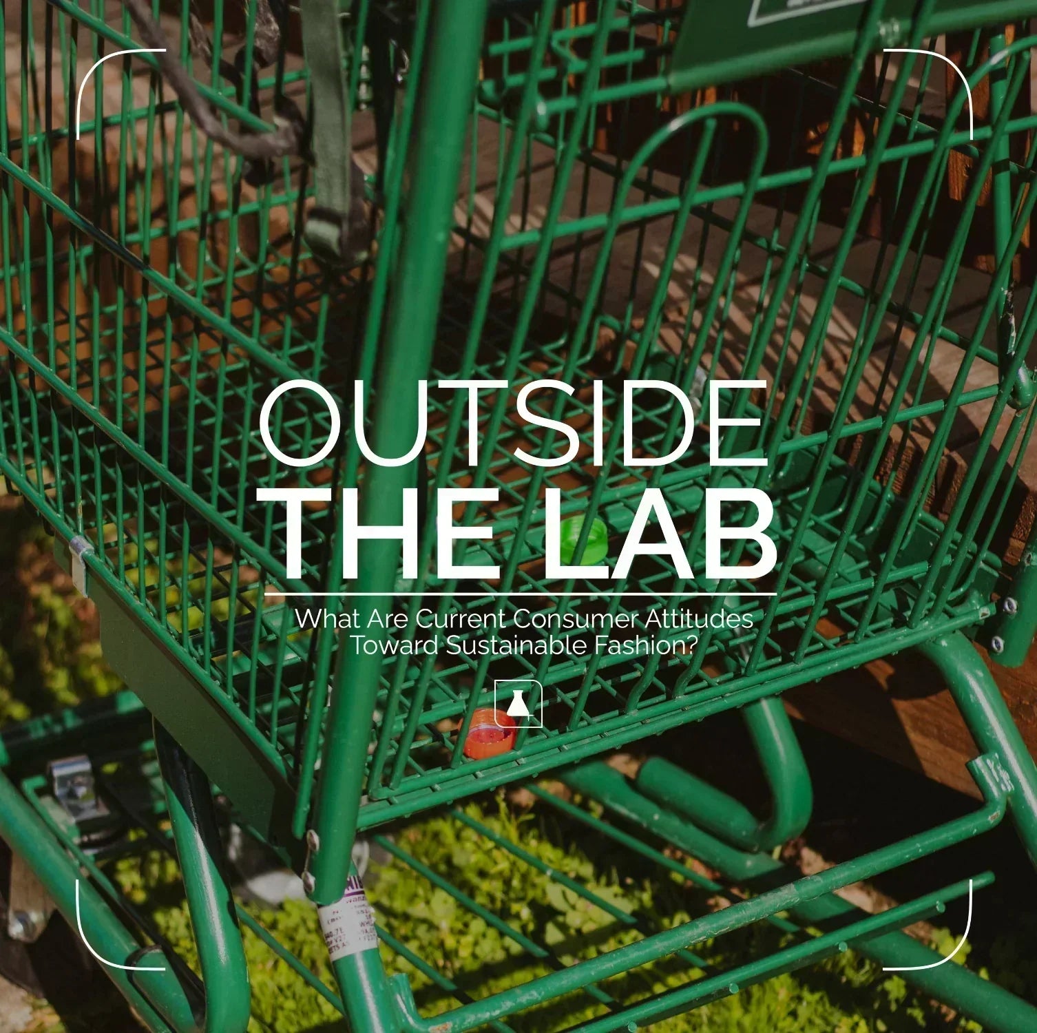 What Are Current Consumer Attitudes Toward Sustainable Fashion?