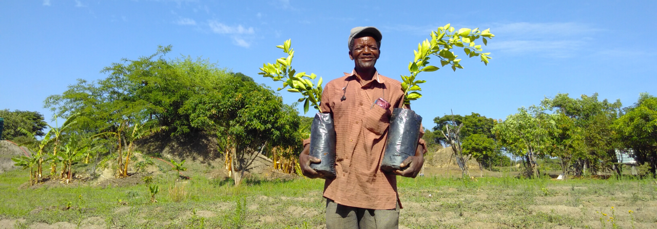 Sneaker LAB Plants Trees & Restores Forests