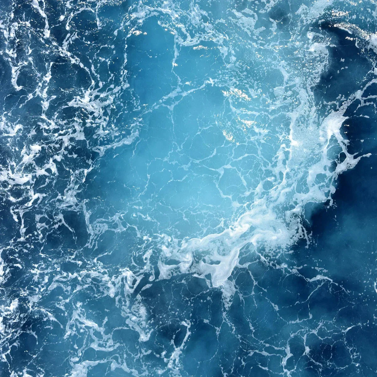 Our Water-Wise Commitment For World Oceans Day 2025