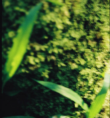 The Lab's environmental commitment is reflected through sustainable ingredient sourcing, responsible packaging, and eco-conscious production.